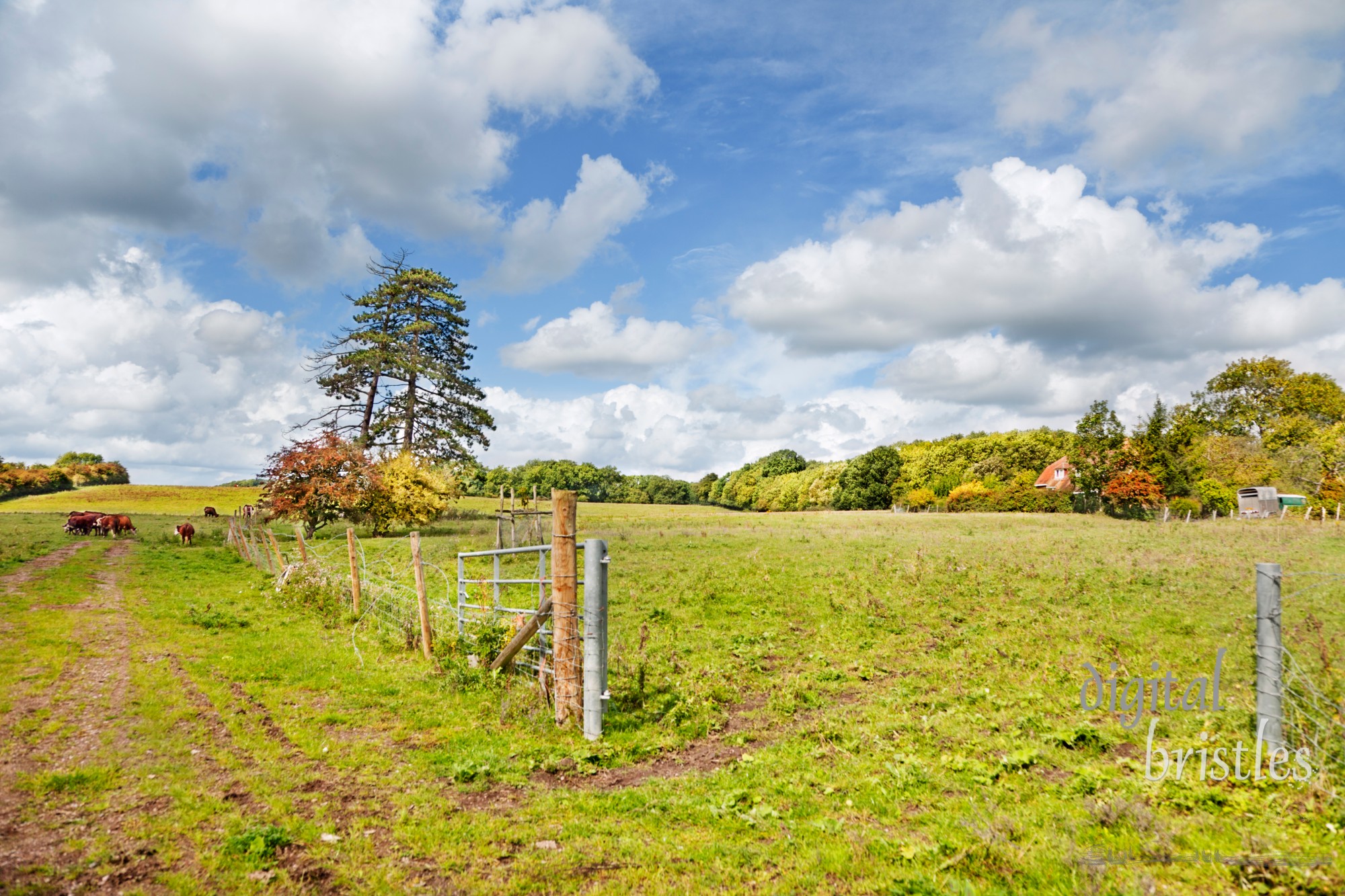 Gate between fields on small dairy farm in Hollingbourne, Kent