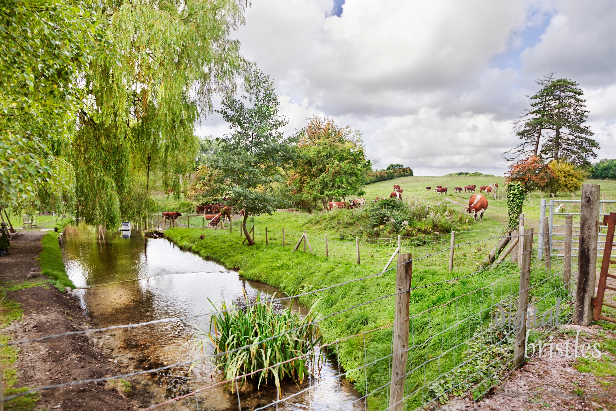 Small, old fashioned farm in Hollingbourne, Kent