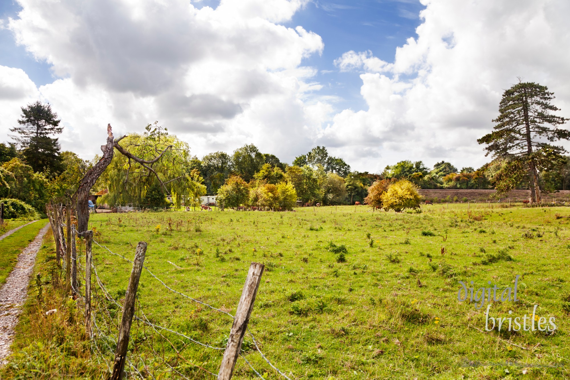 Fenced field on small Kent farm