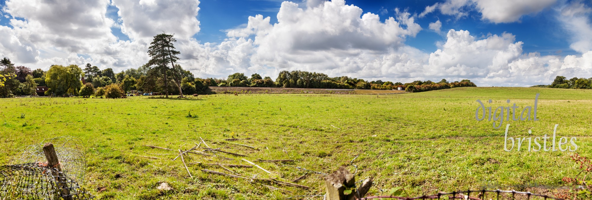 Panorama of fields, a few cows and some fence in urgent need of repair on a sunny late summer afternoon. Hollingbourne, Kent, UK