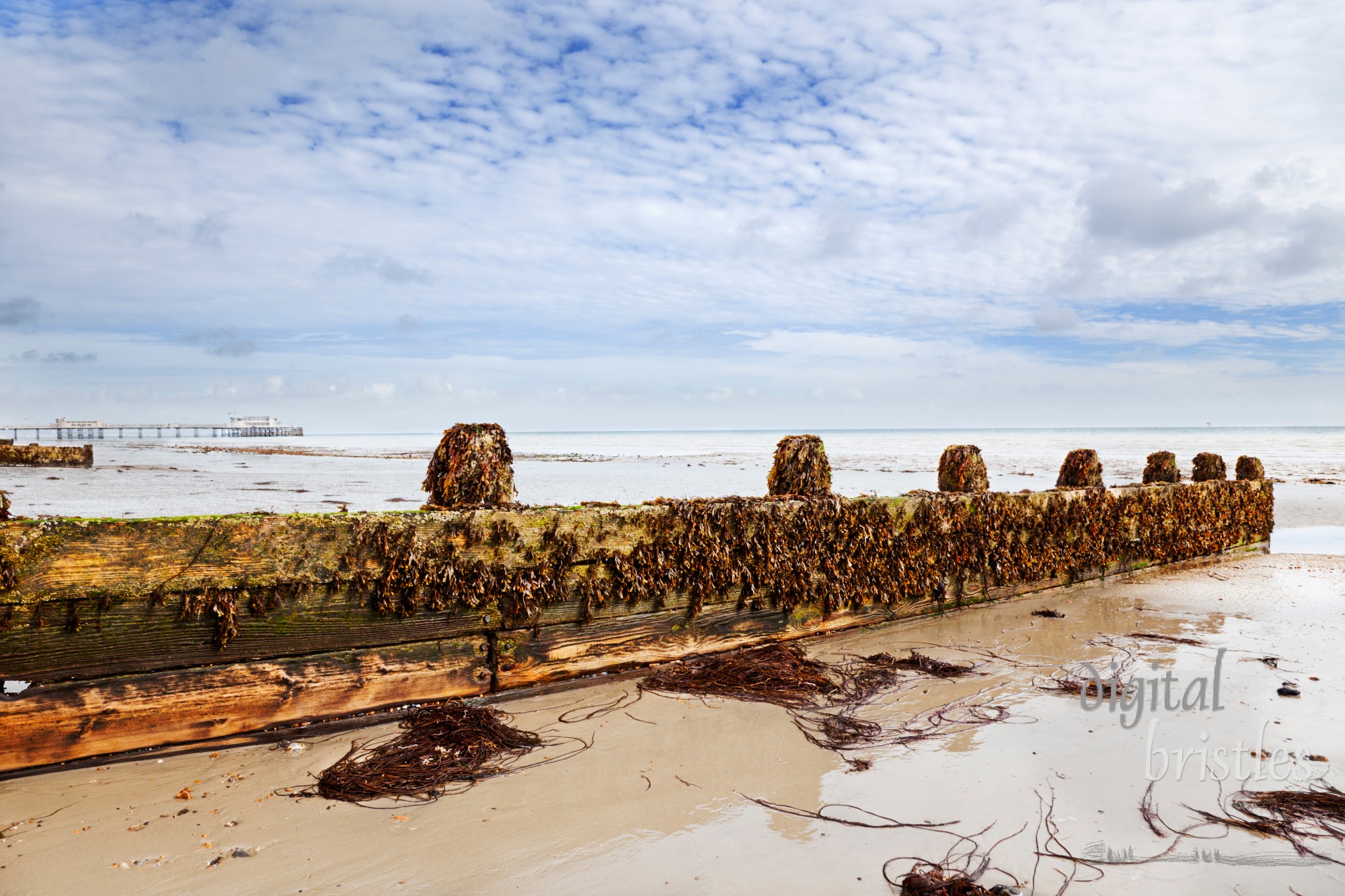 Worthing's Victorian pier in the background with seaweed covered breakwater in the foreground