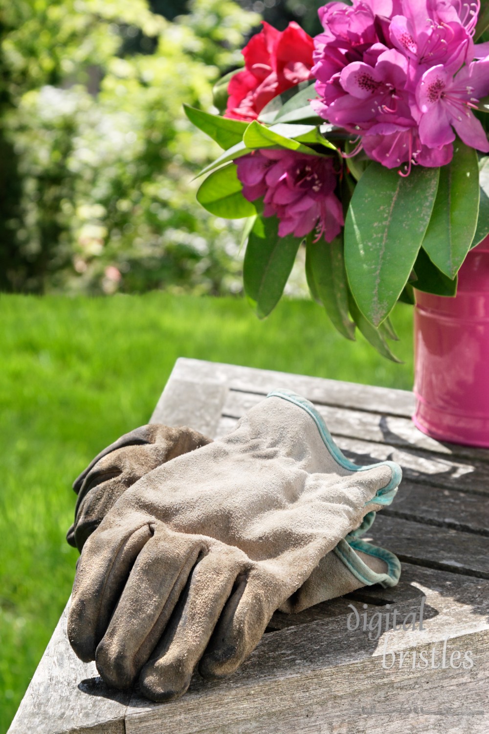 Cut flowers from the spring garden and a well-worn pair of gardening gloves