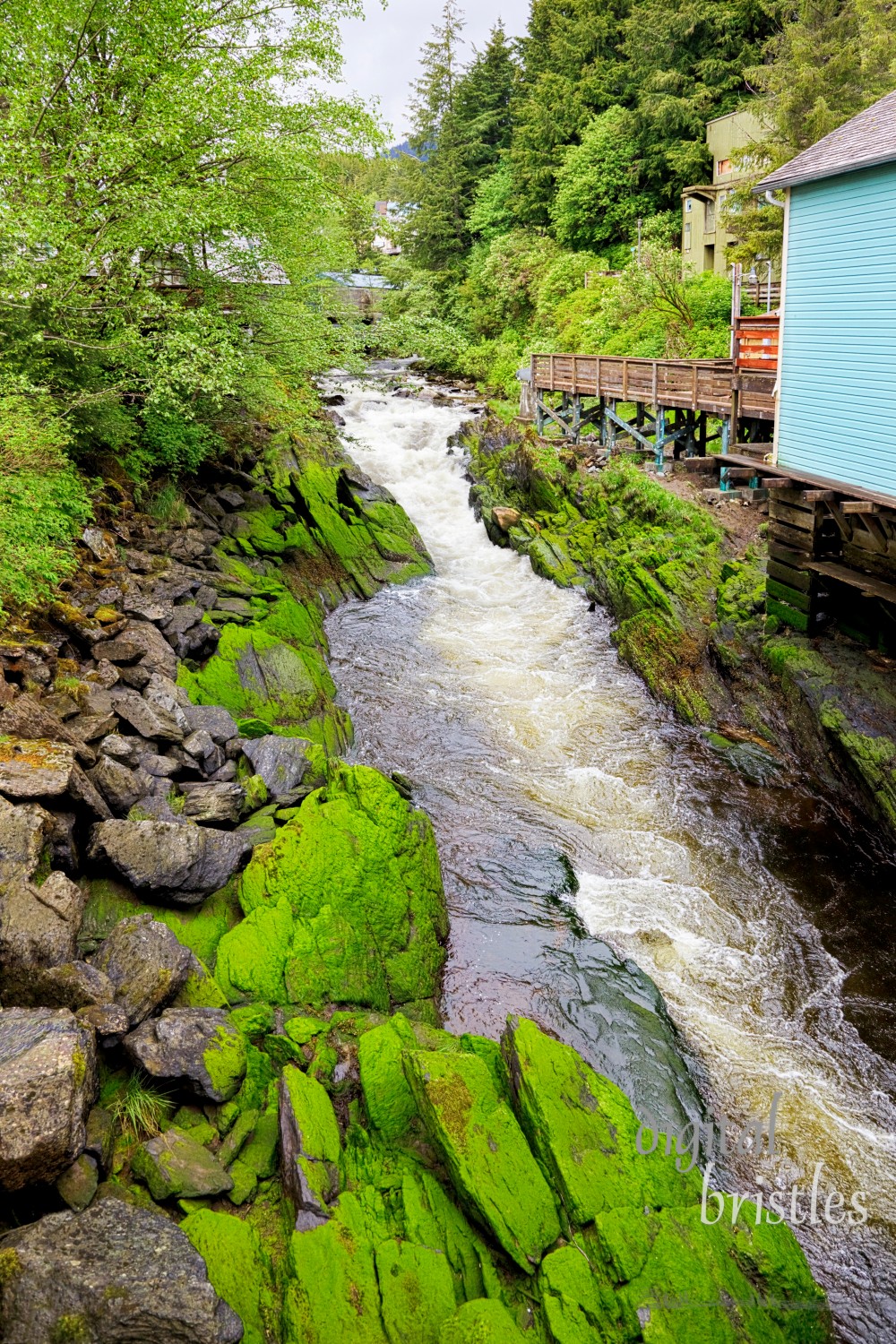 Creek Street, Ketchikan Alaska (upstream end)