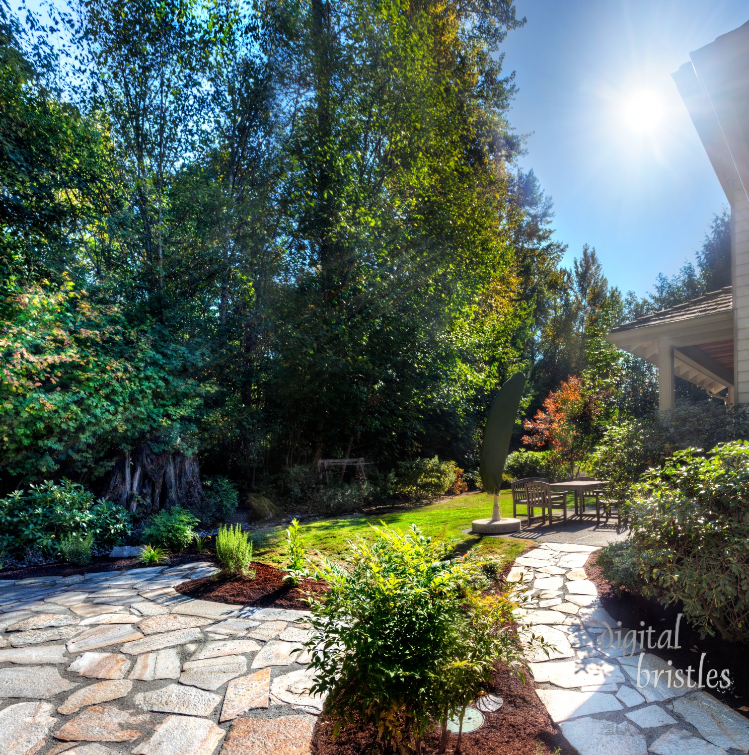 Fall afternoon sunshine on a stone patio and backyard