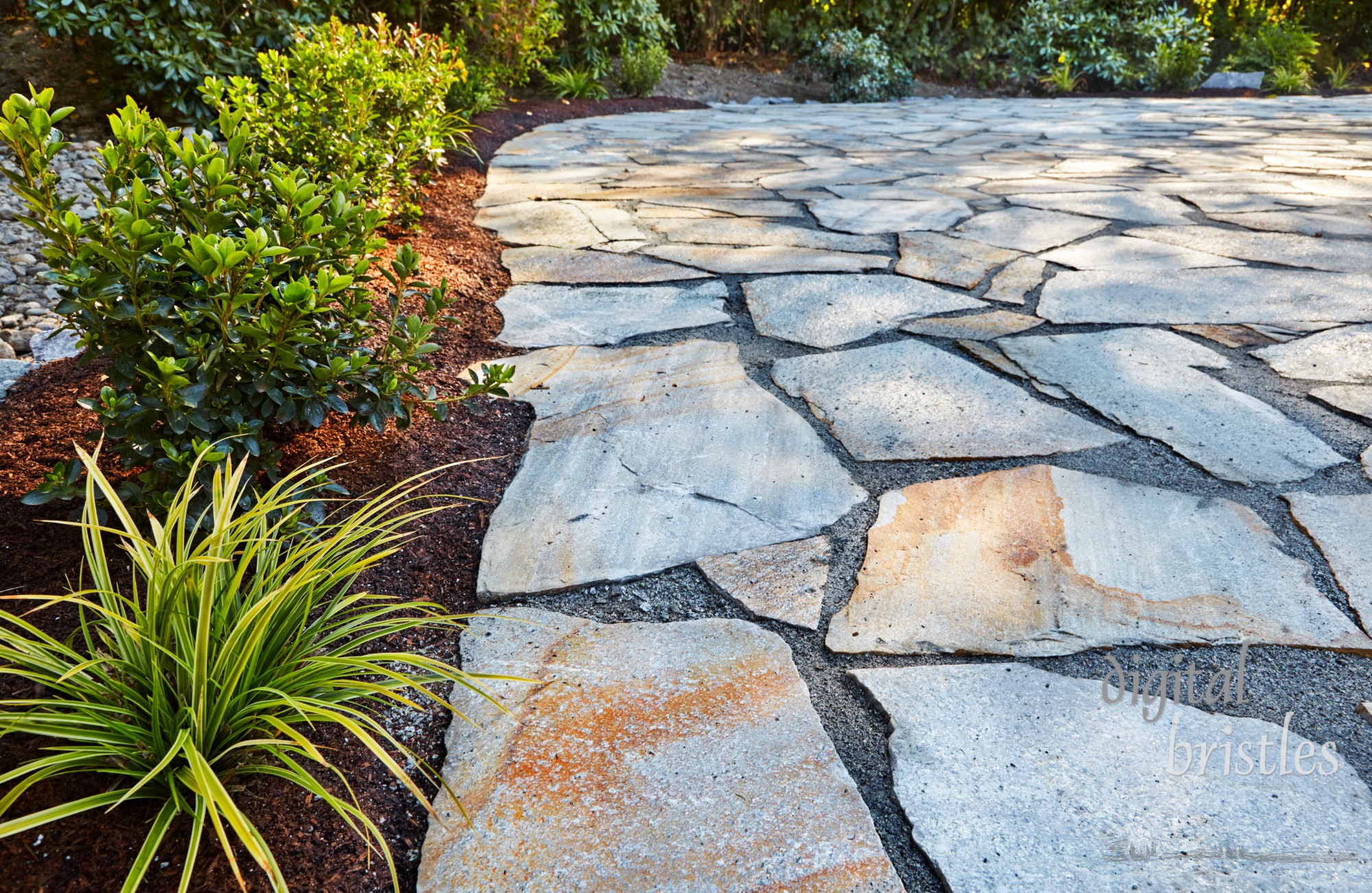 Shrubs transplanted along the edge of a new stone patio