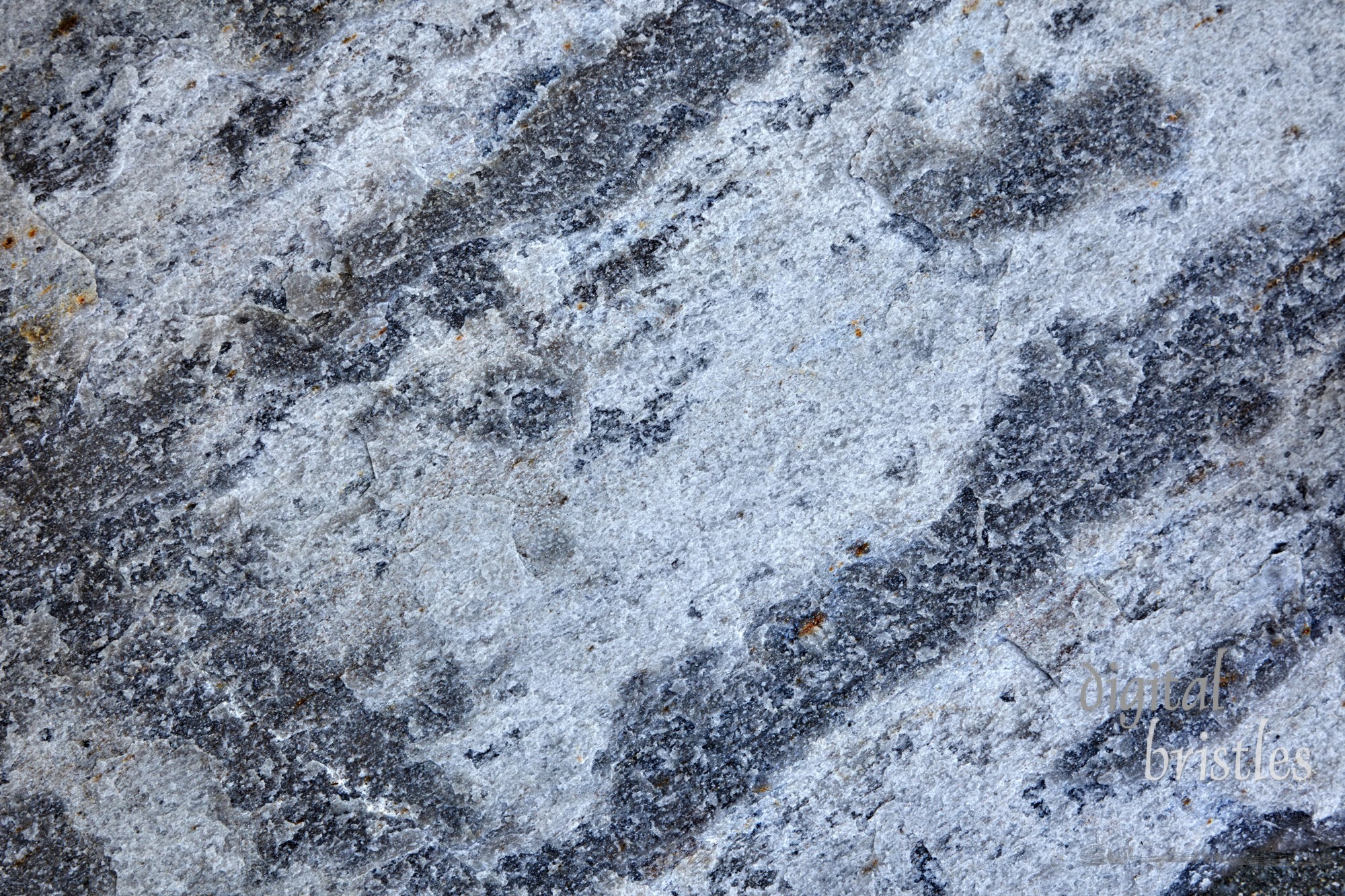 Detail of texture and colors in a stone patio paver