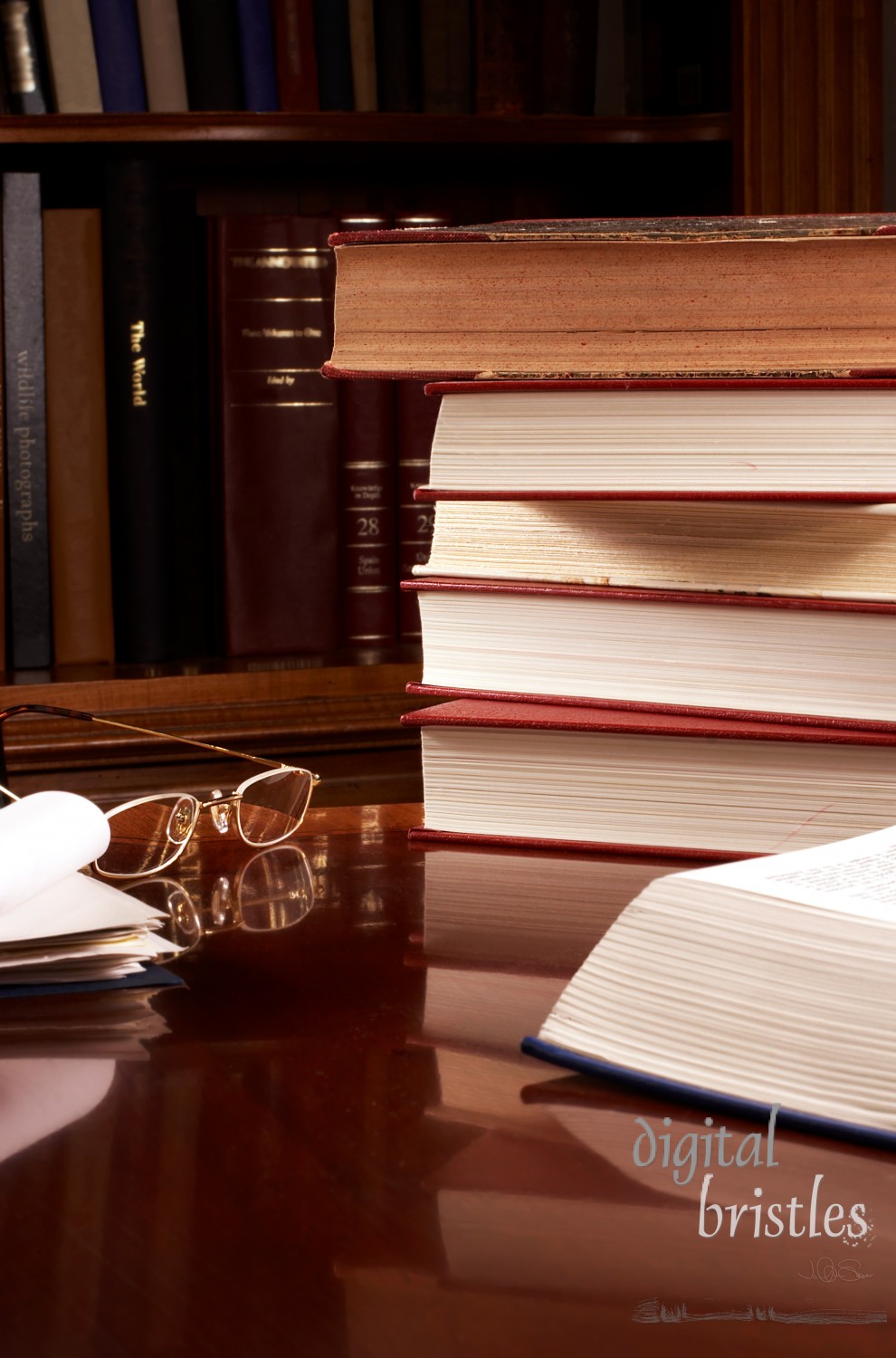 Books and papers stack the desk