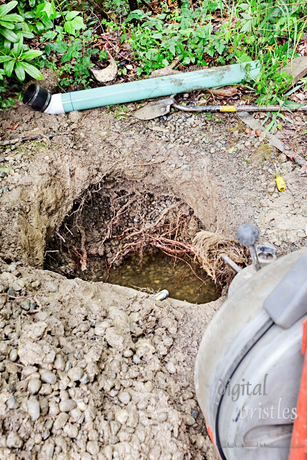 Groundwater drainage pipe clogged by tree roots