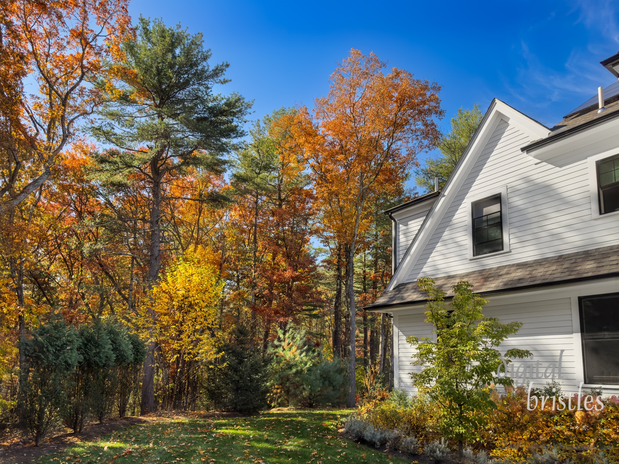 Suburban home with rooftop solar panels installed sits in bright Autumn morning sunshine