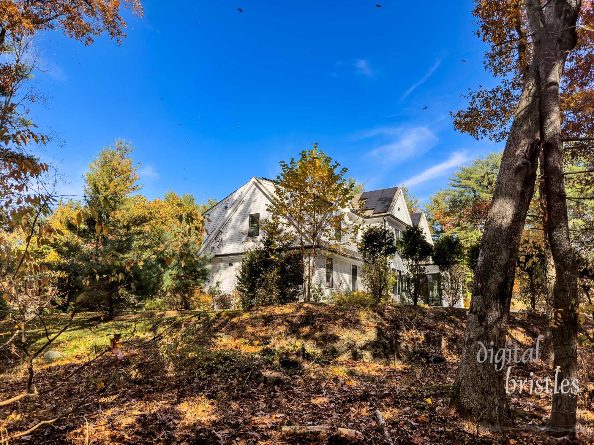 Leaves dot the sky on an autumn morning around a suburban house viewed from a trail through the woods