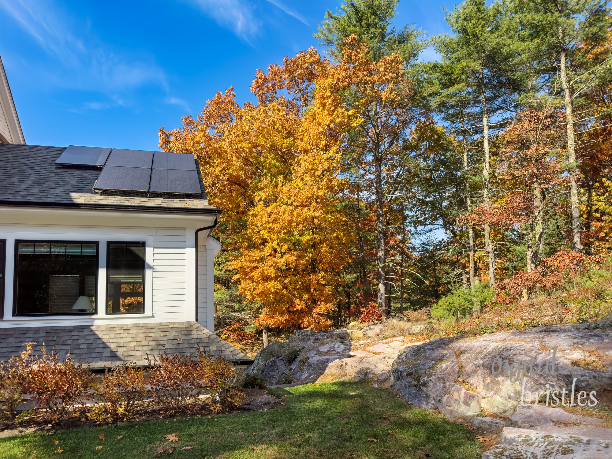 Splash of bright fall oak leaves on a sunny morning frames part of the rooftop solar panels generating clean energy 