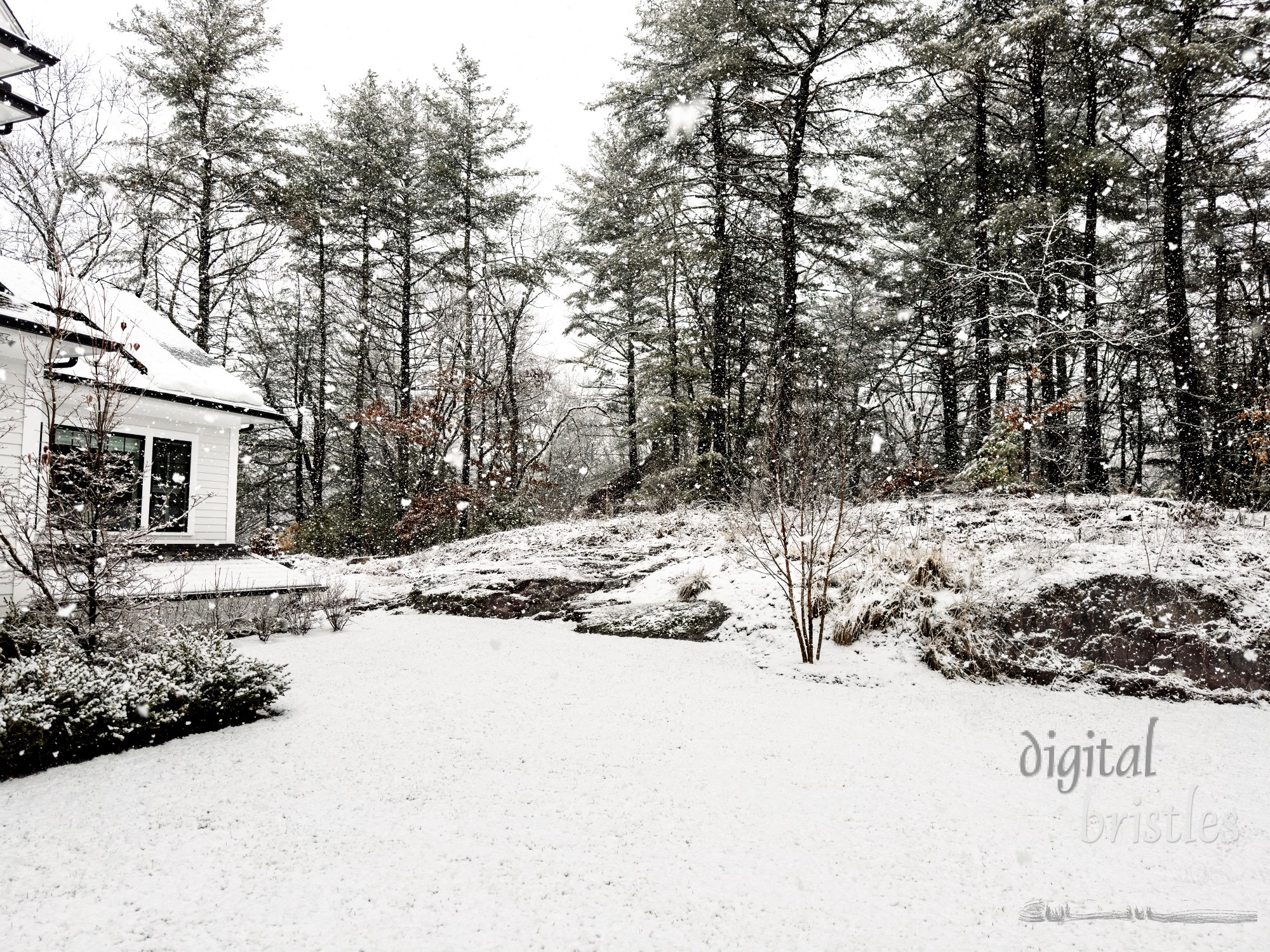 Snowy morning in late fall covers rooftop solar panels