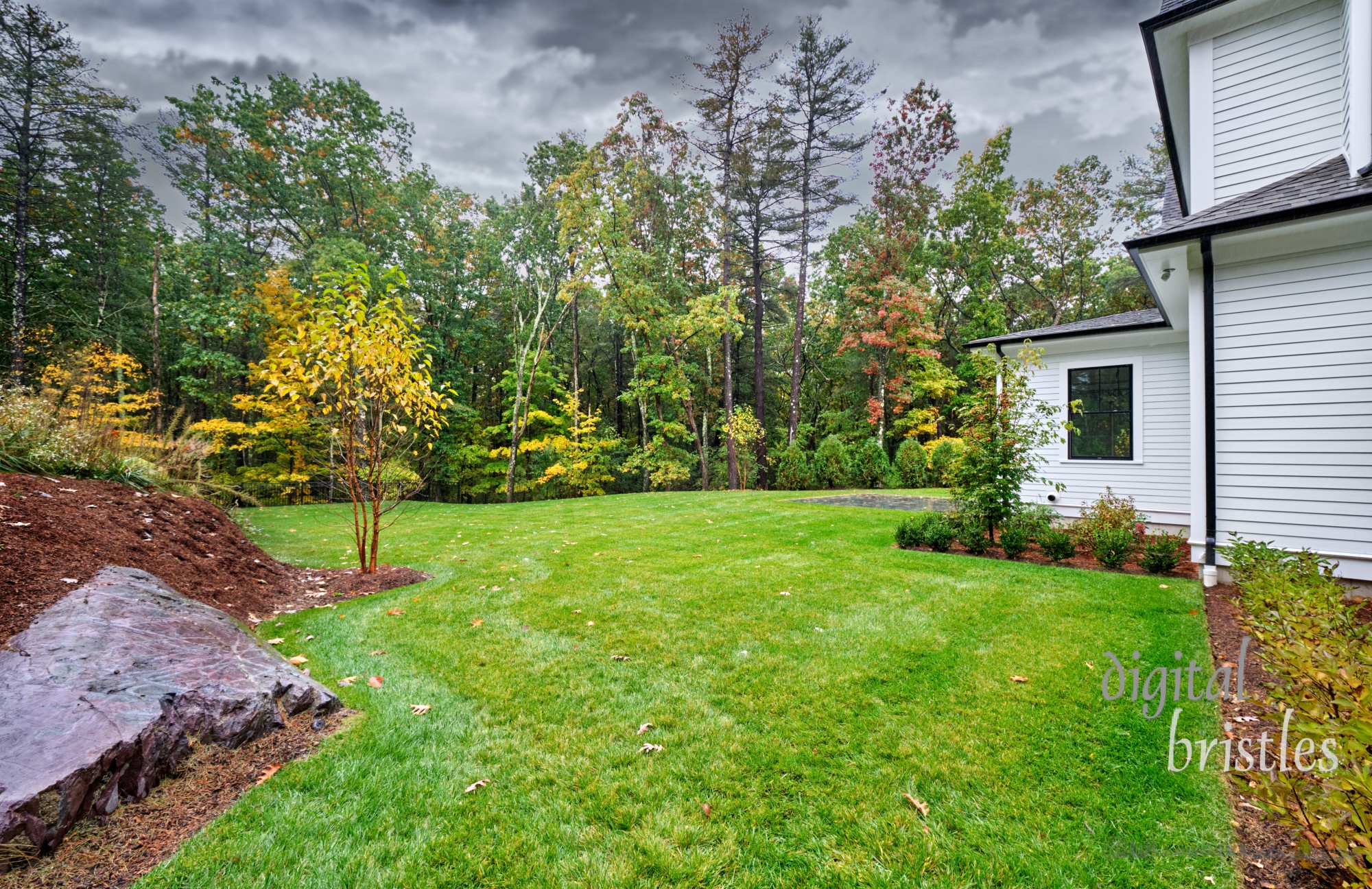 Drizzly autumn morning in a suburban New England garden