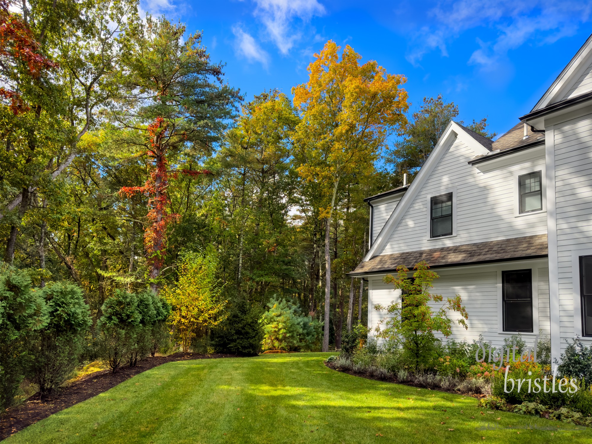 Morning sunlight on a suburban yard lights up the fall colors in the trees