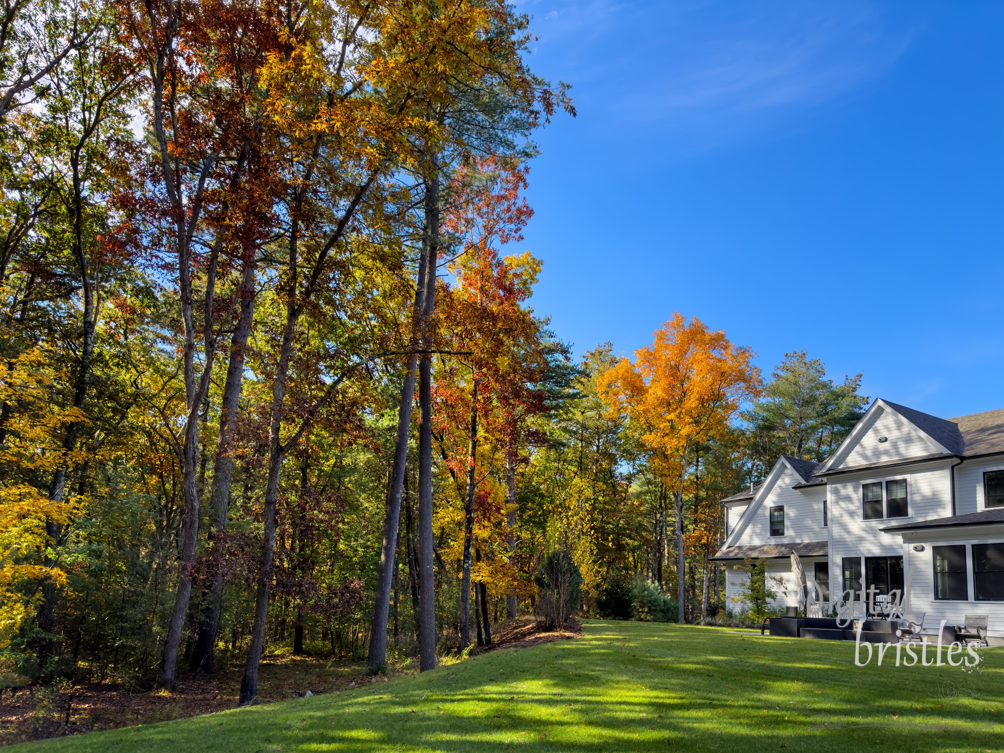 Suburban back yard surrounded by deepening Autumn color in the woods