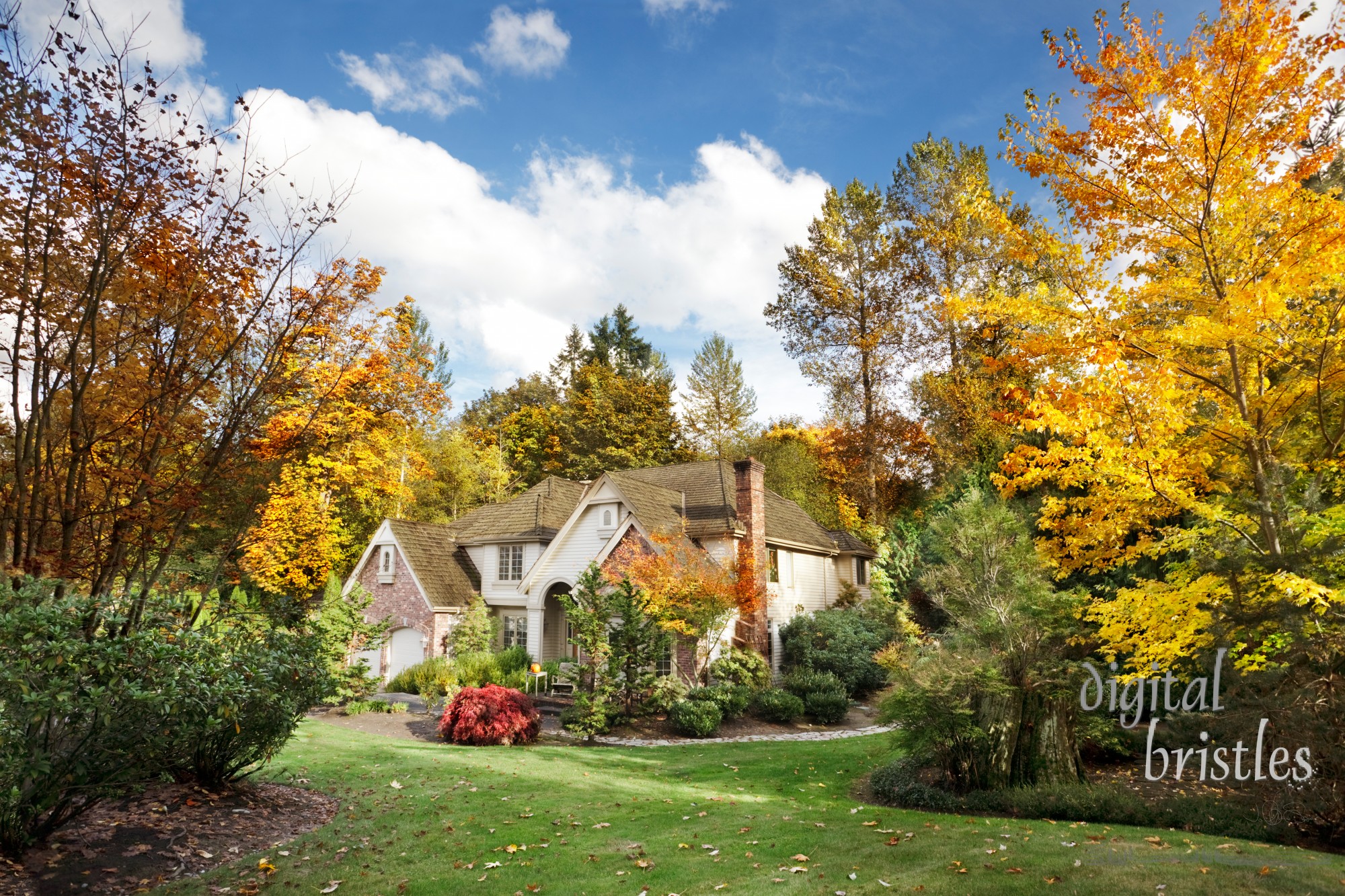 Suburban home in Autumn sunshine as the leaves turn orange & yellow