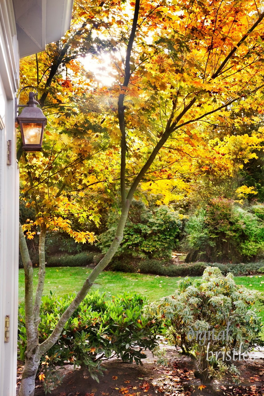 Porch light  comes on amid fall afternoon sunlight through the orange & yellow leaves