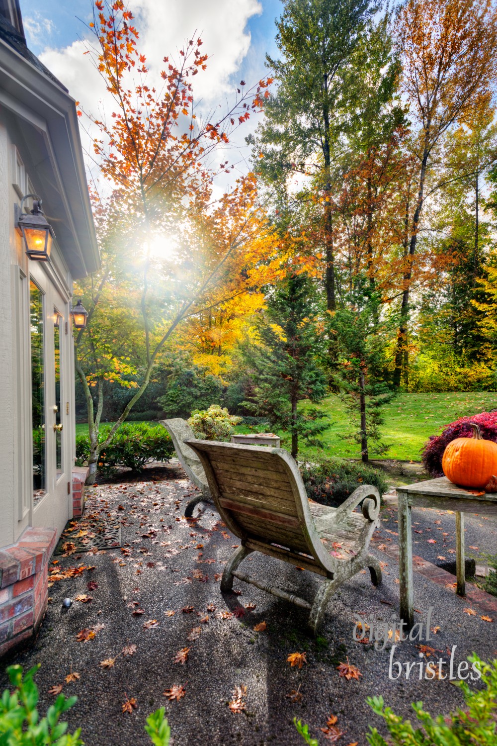 Fall sunshine on suburban patio and garden