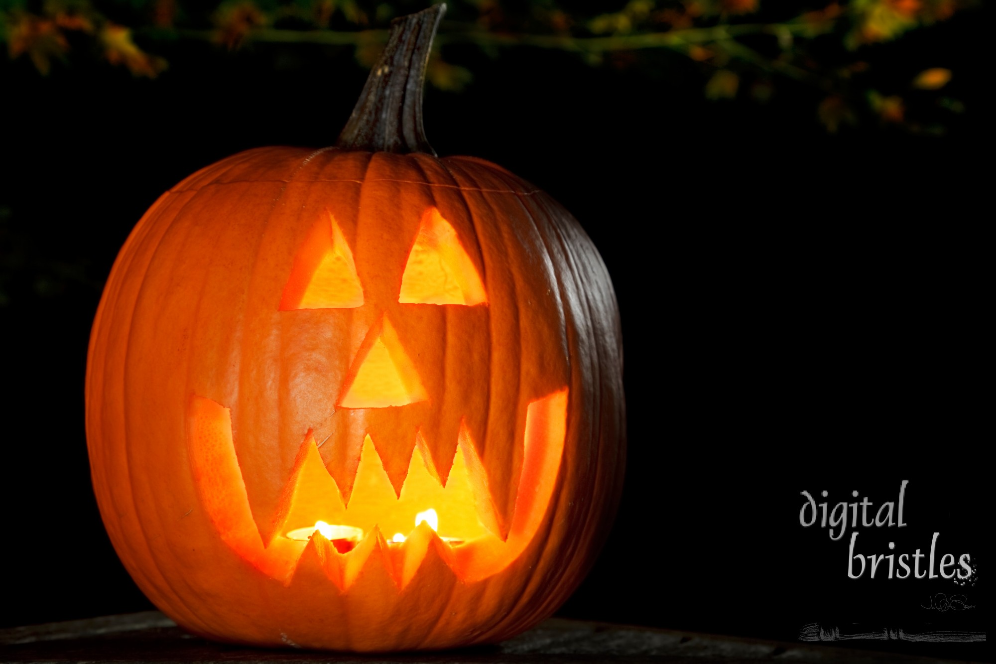 Vampire jack-o-lantern outside at night