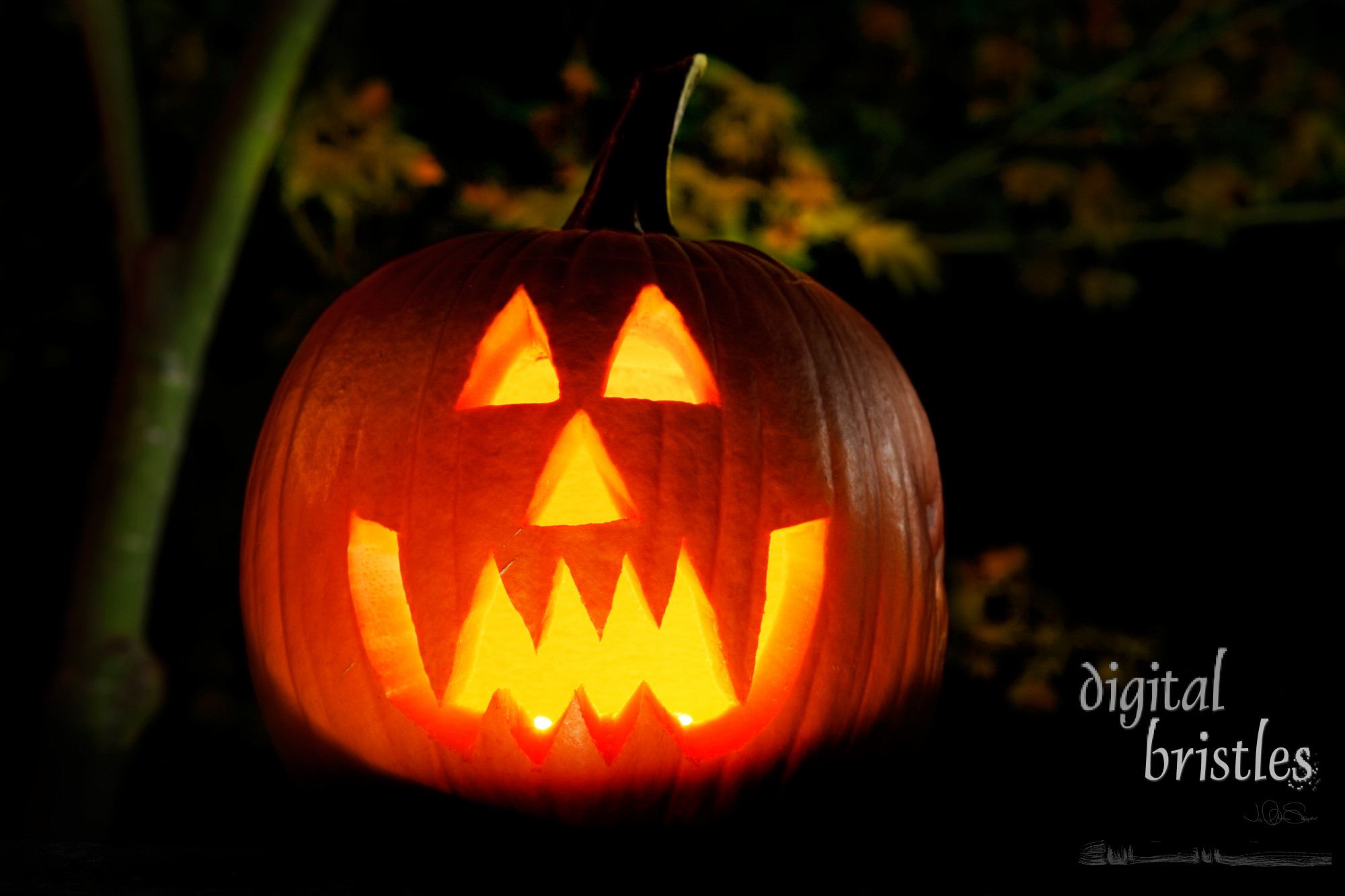 Vampire jack-o-lantern outside at night