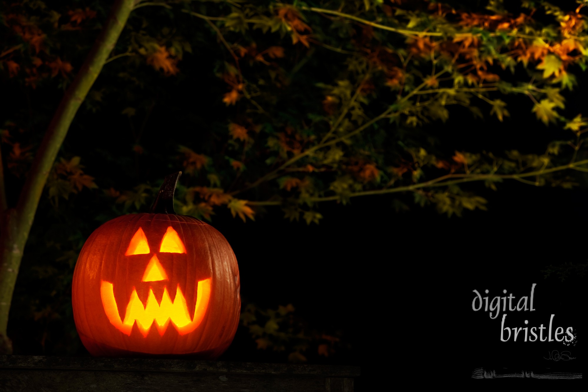 Vampire jack-o-lantern outside at night