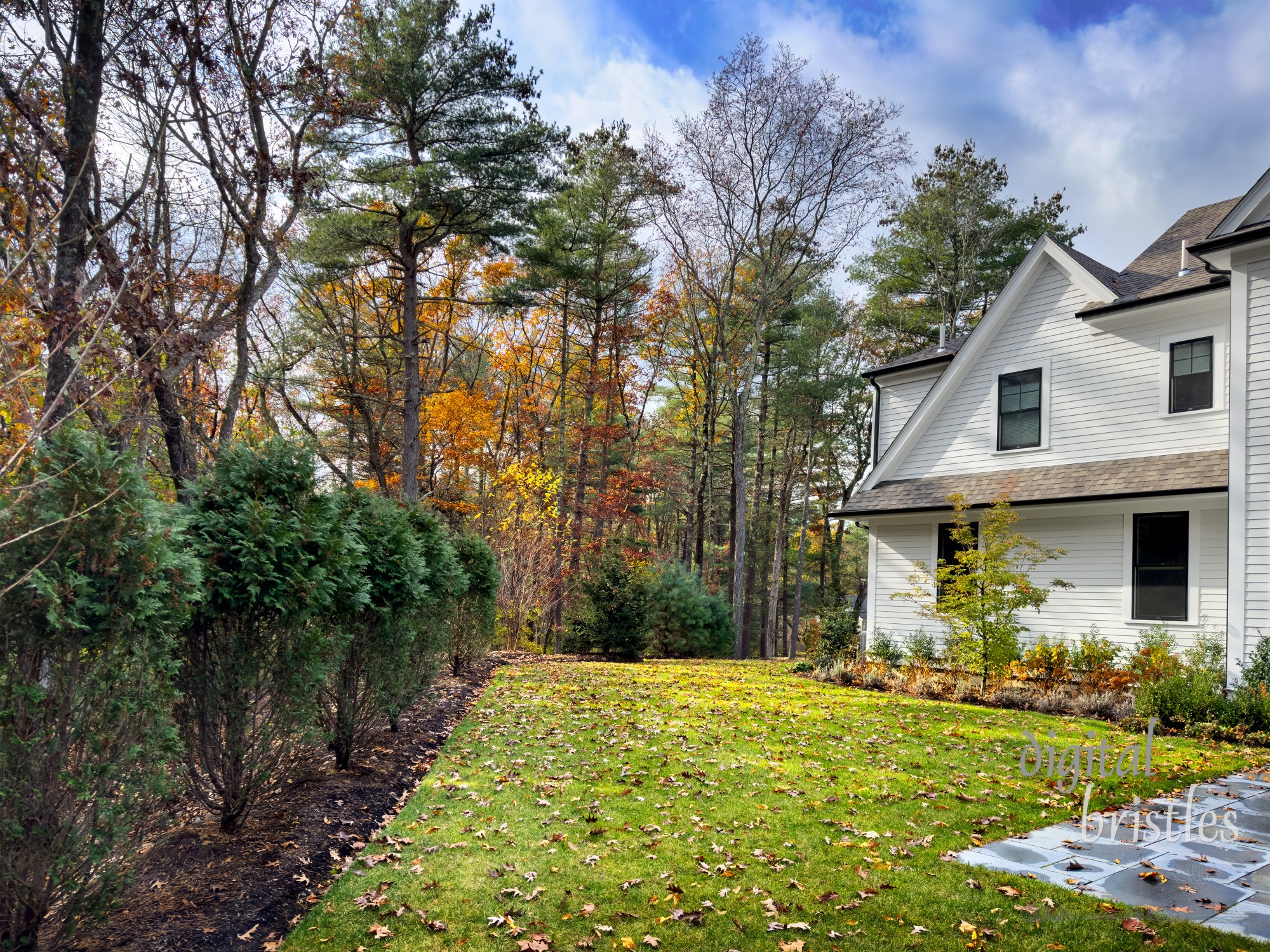 Nearly bare branches and leaves all over the lawn on a bright November morning in New England