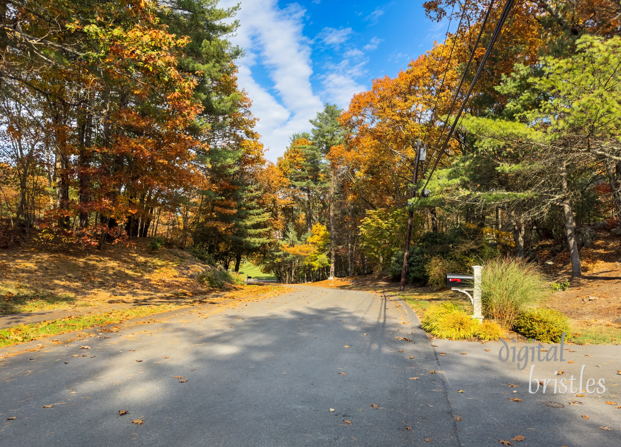 Sunny autumn monrning on a quiet suburban street in Massachusetts