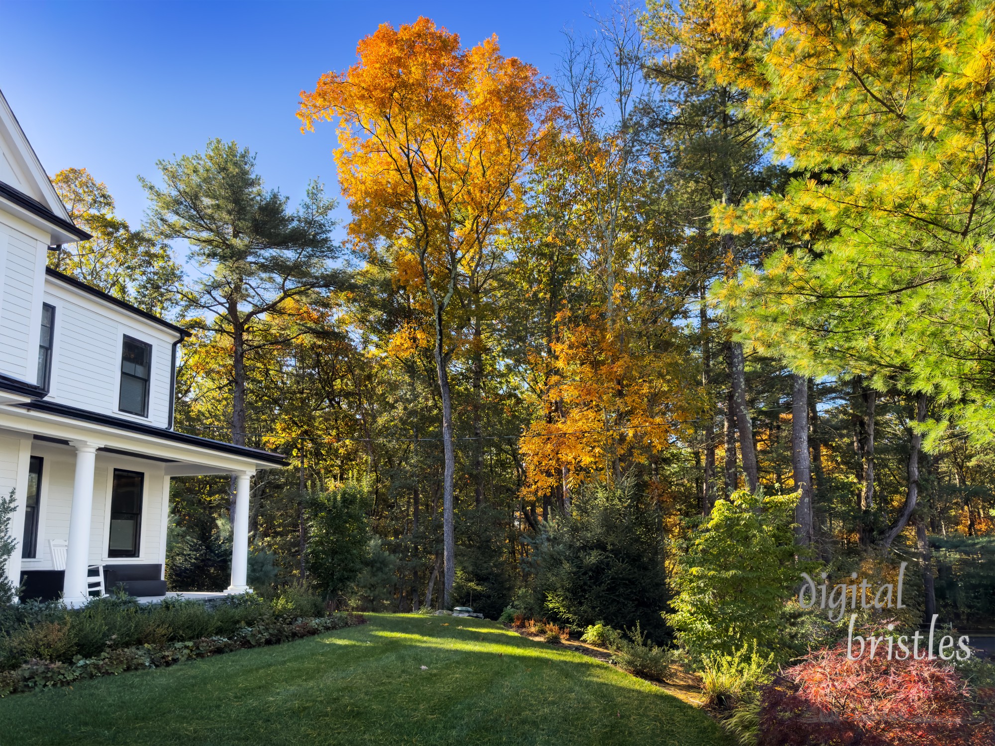 Morning sun lights up Autumn foliage around a suburban New England home