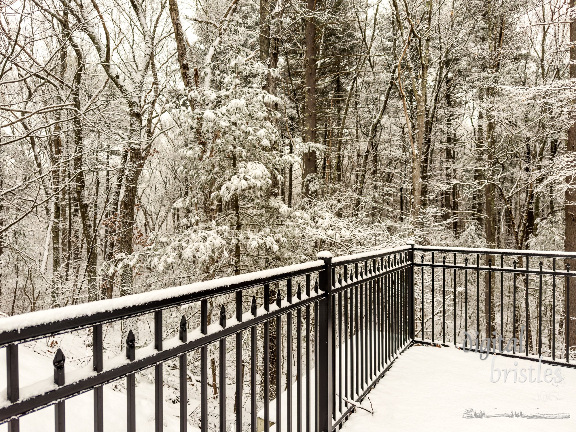 Recent snowfall lines the fence in a suburban back yard