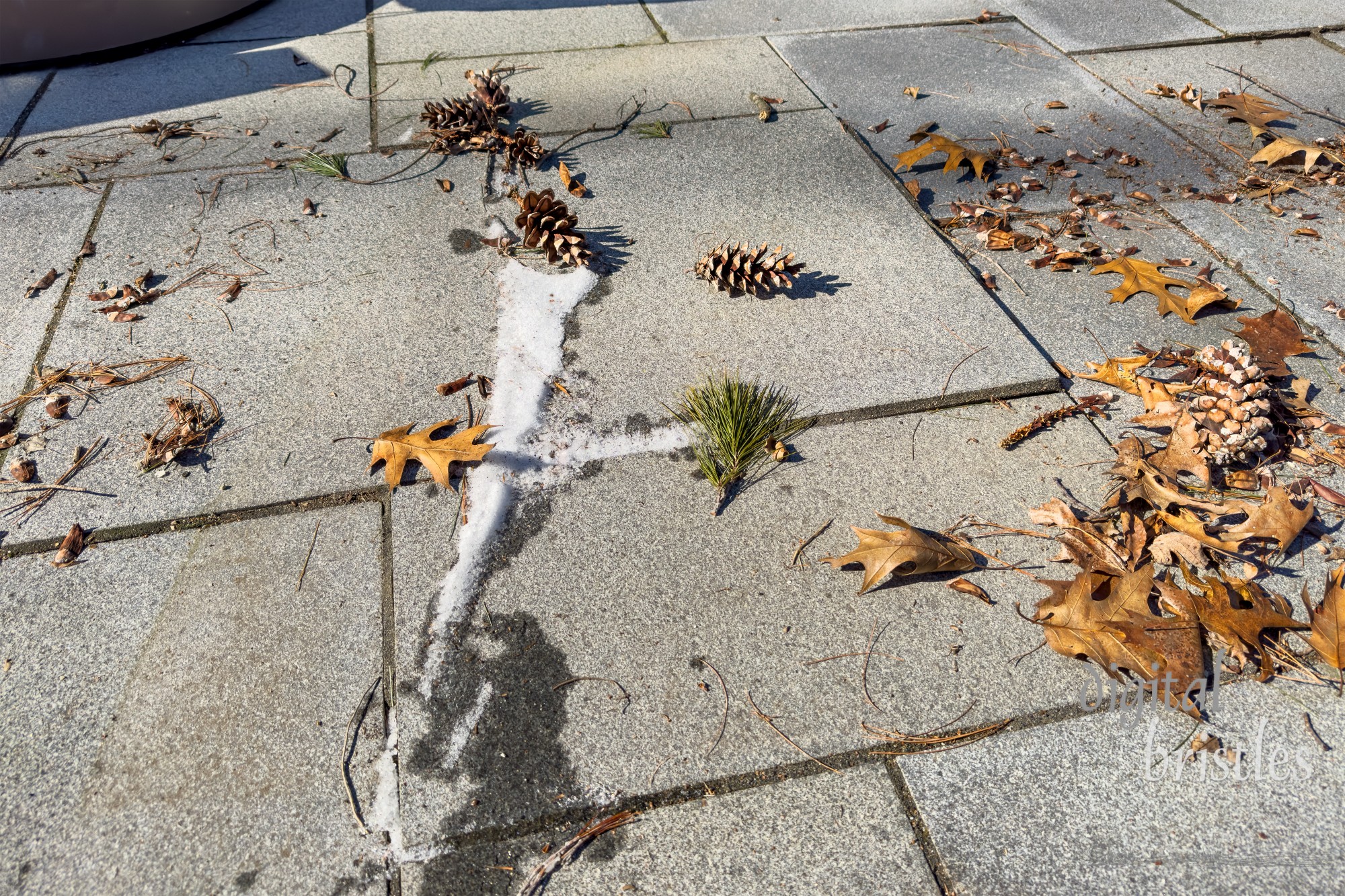 Patio pavers moved by frost heaves during freezing winter weather