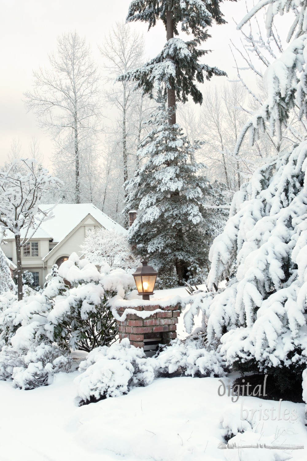 Driveway light and house on a snowy morning