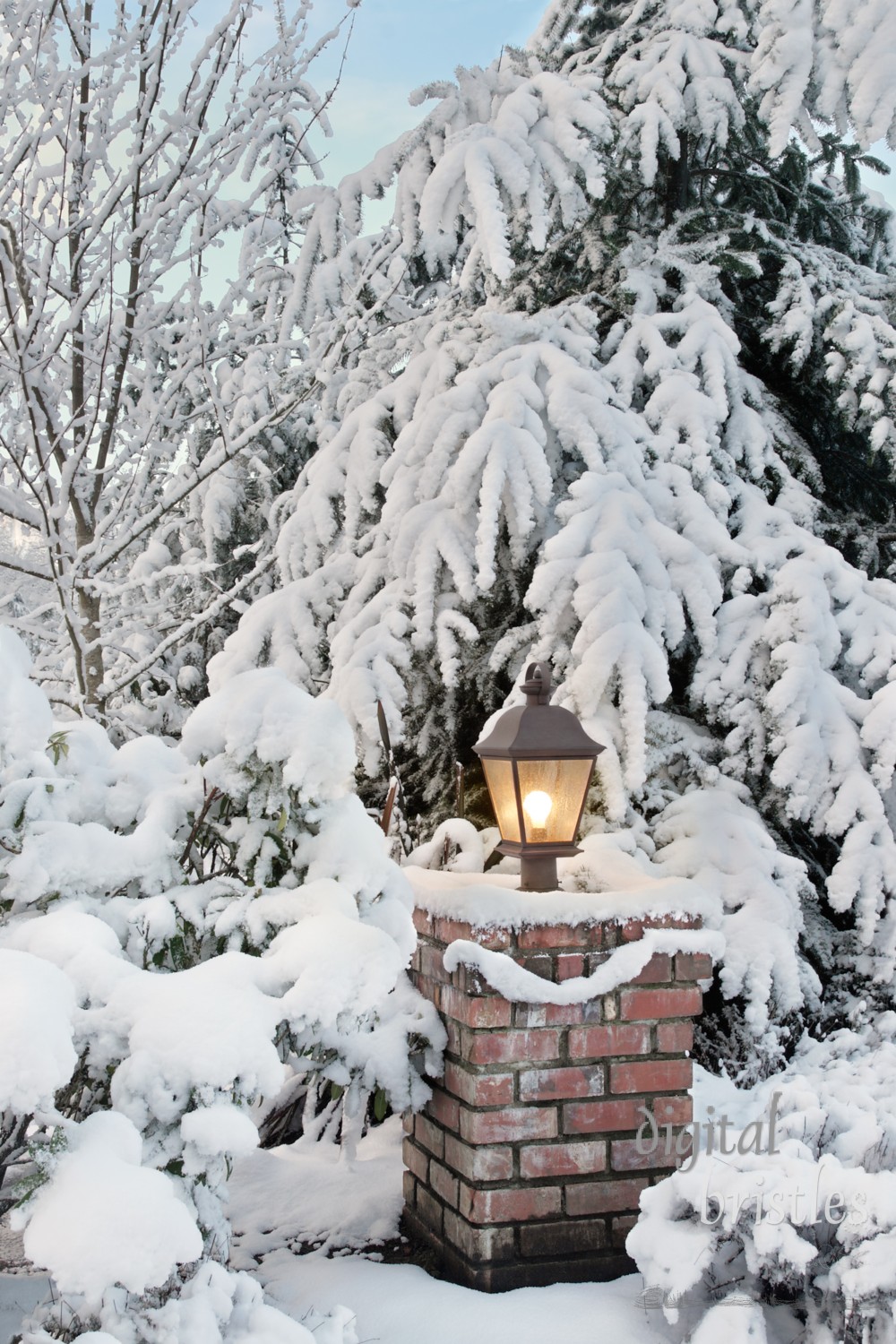 Driveway light on a snowy morning