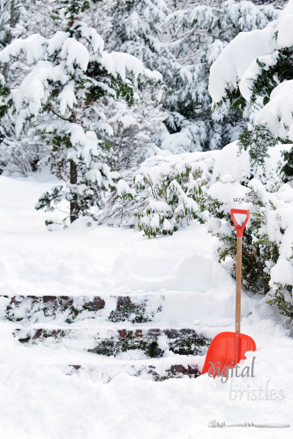 Snow shovel beside partially cleared walkway and steps