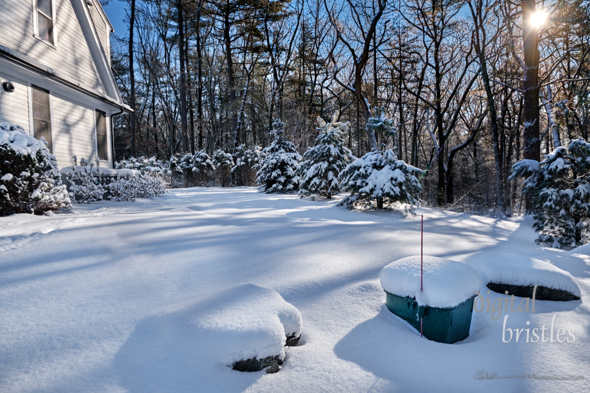 Early morning sun after a Winter snowstorm highlights location of propane tank cover - helped by a snow stake