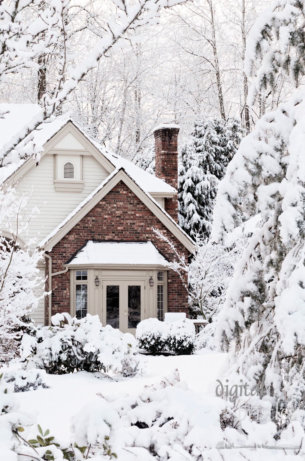 Snowbound house, seemingly buried,  the morning after a snowstorm