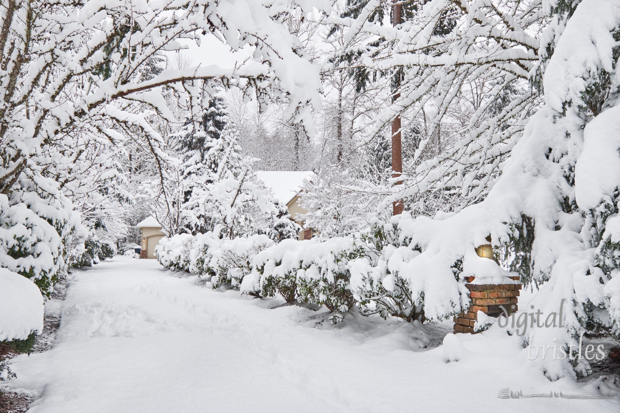 Snow piling up in suburban driveway on a gray winter morning