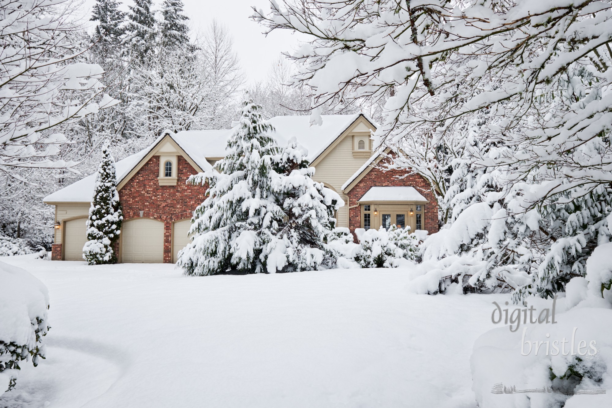 Winter snowstorm brings unexpected white blanket to Western Washington