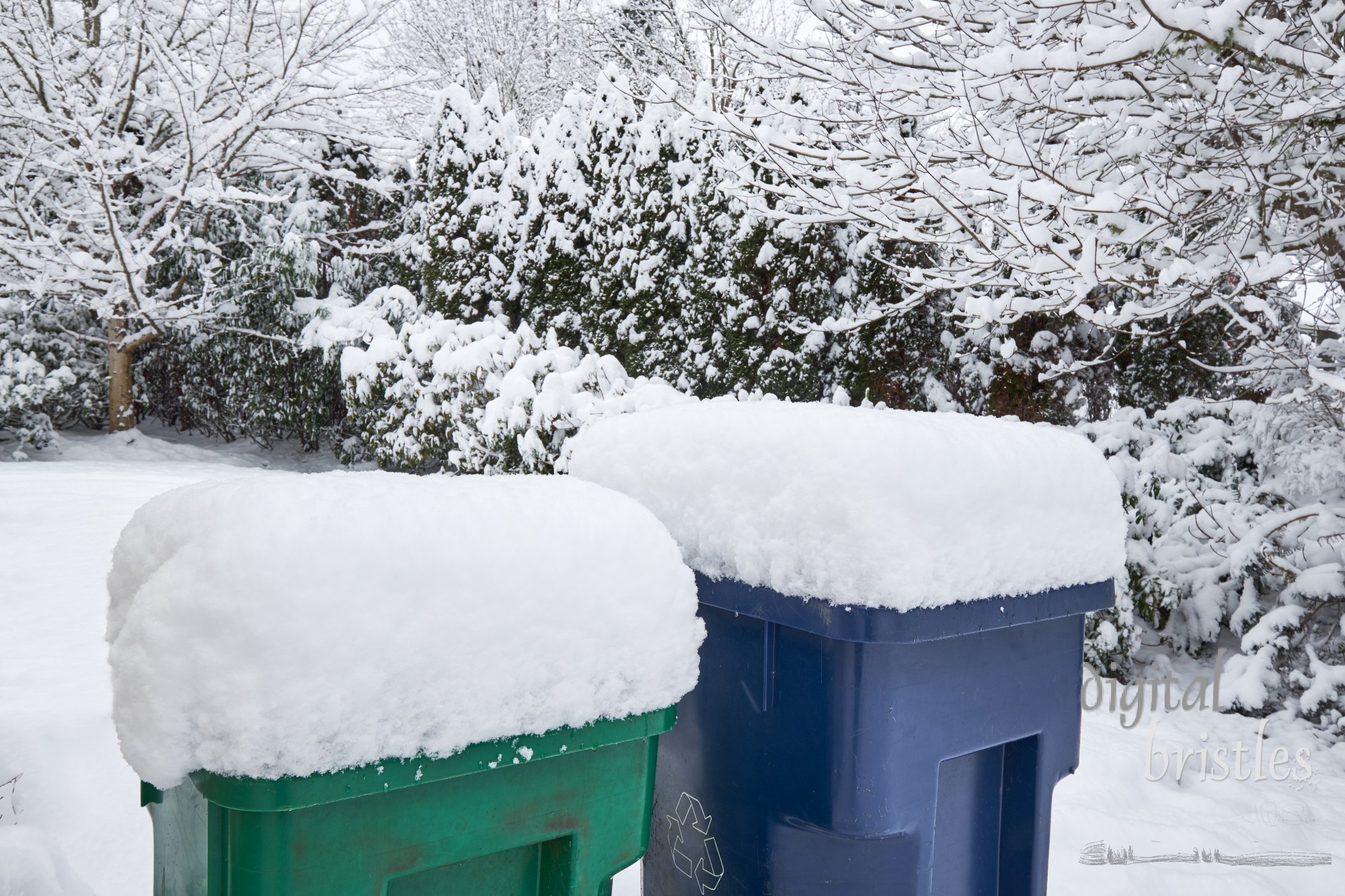 Trash (green) and recycling (blue) bins outside a suburban home in a snowstorm