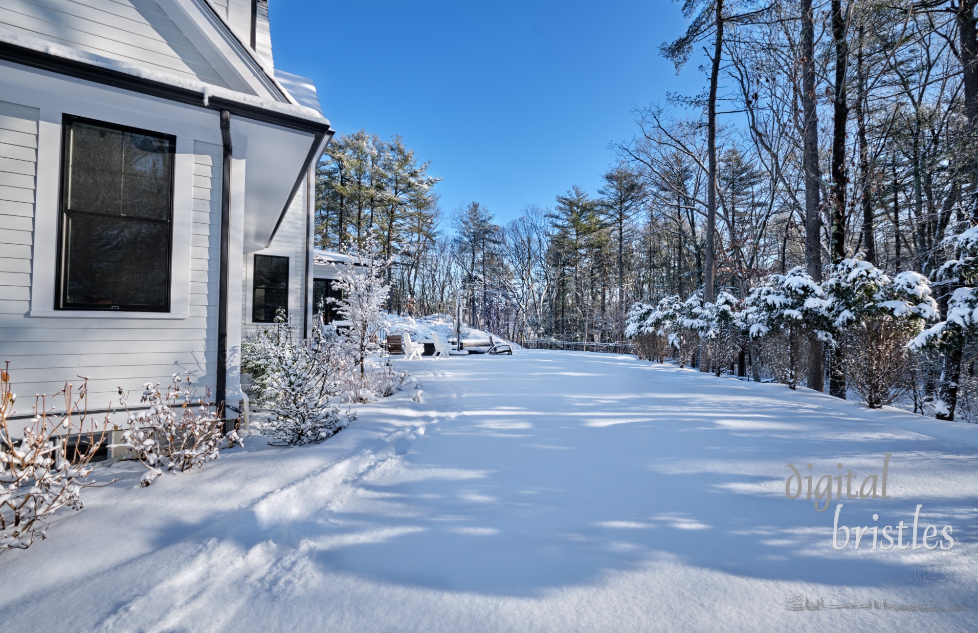 Winter comes to the suburban garden with the first heavy snow of the season