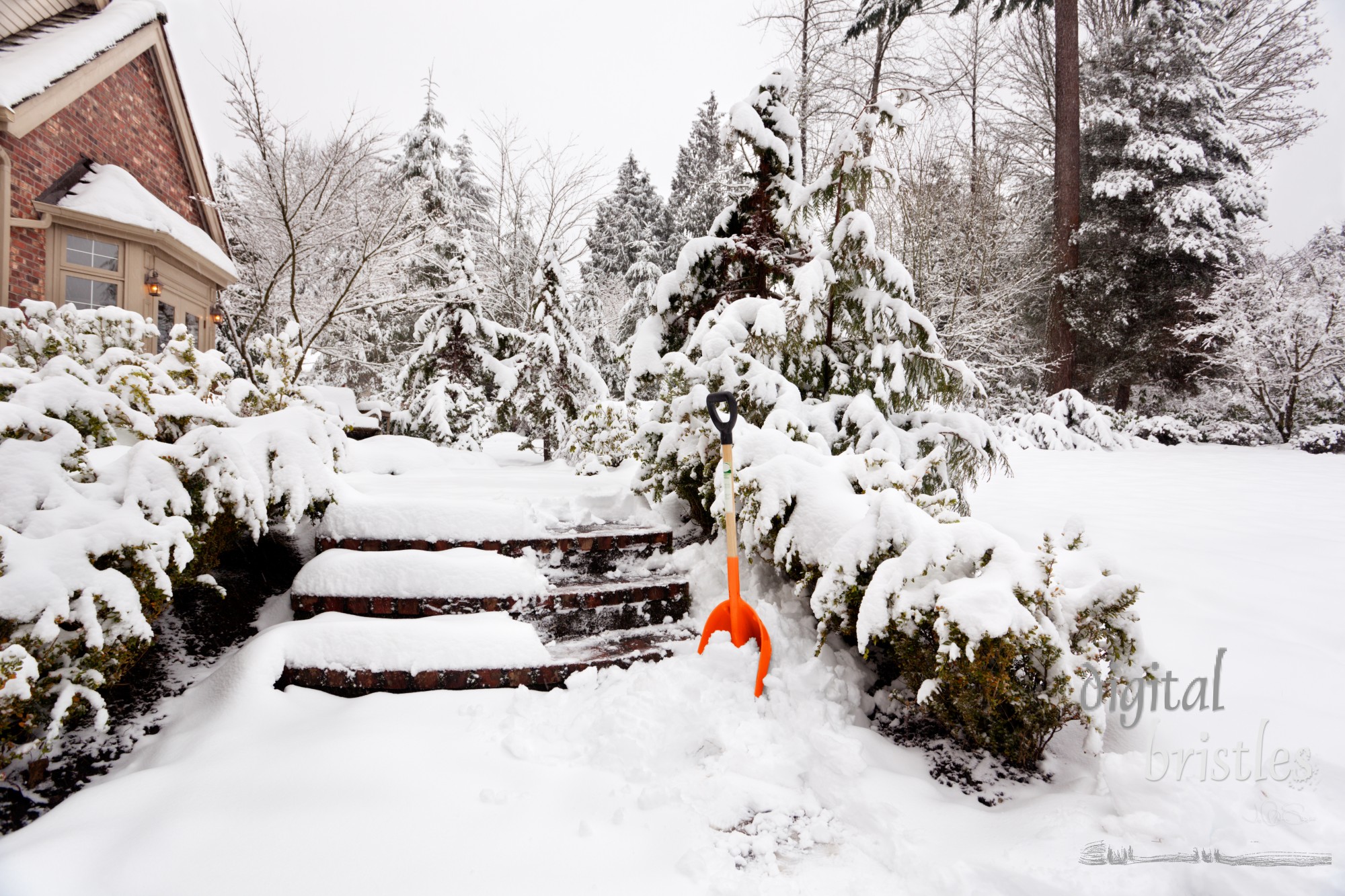 Clearing front steps after a big snowstorm