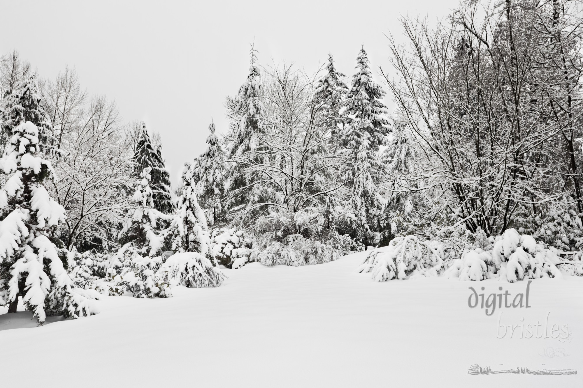 Snow covered suburban garden in a winter snowstorm