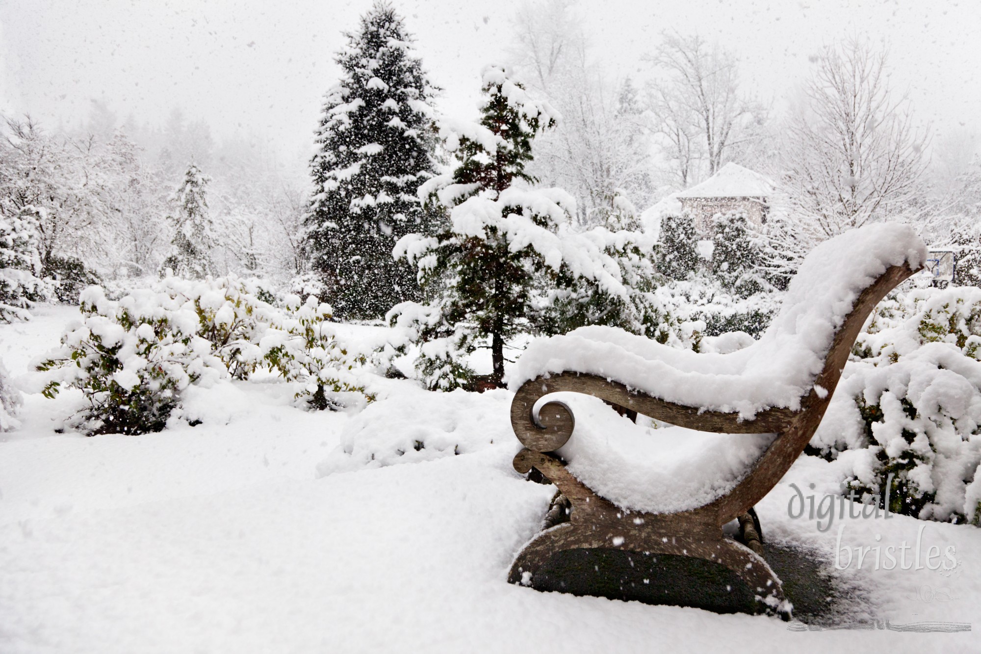 Suburban garden in a snowstorm