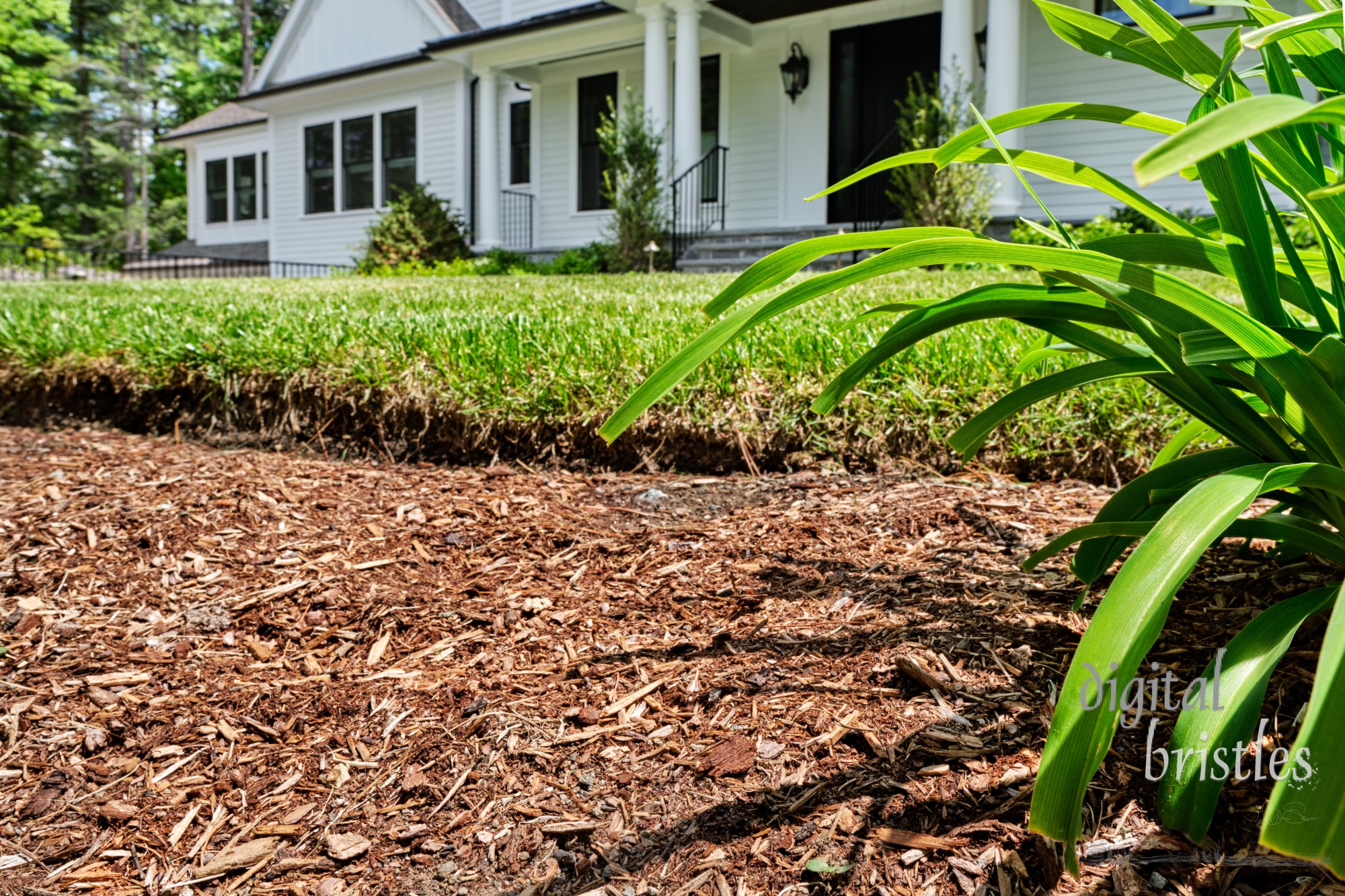 Front garden in suburban home cleaned up in Spring with newly-mulched flower beds and mowed grass