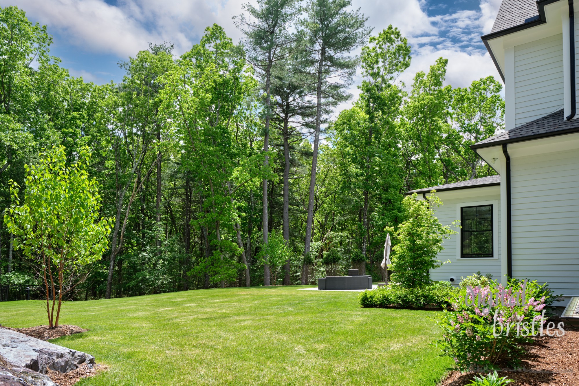 Back garden of a suburban home with the woods behind and Spring flowers beginning to bloom