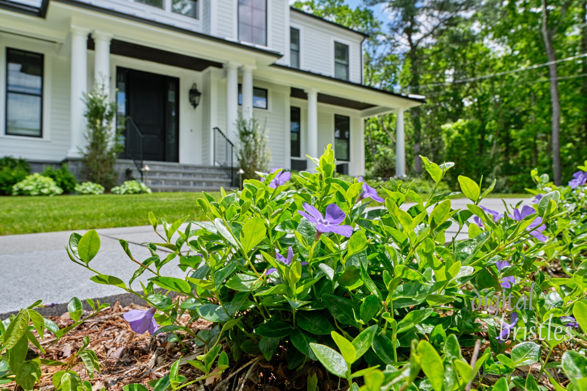 Newly planted flower bed in a suburban home with pretty periwinkle flowers blooming