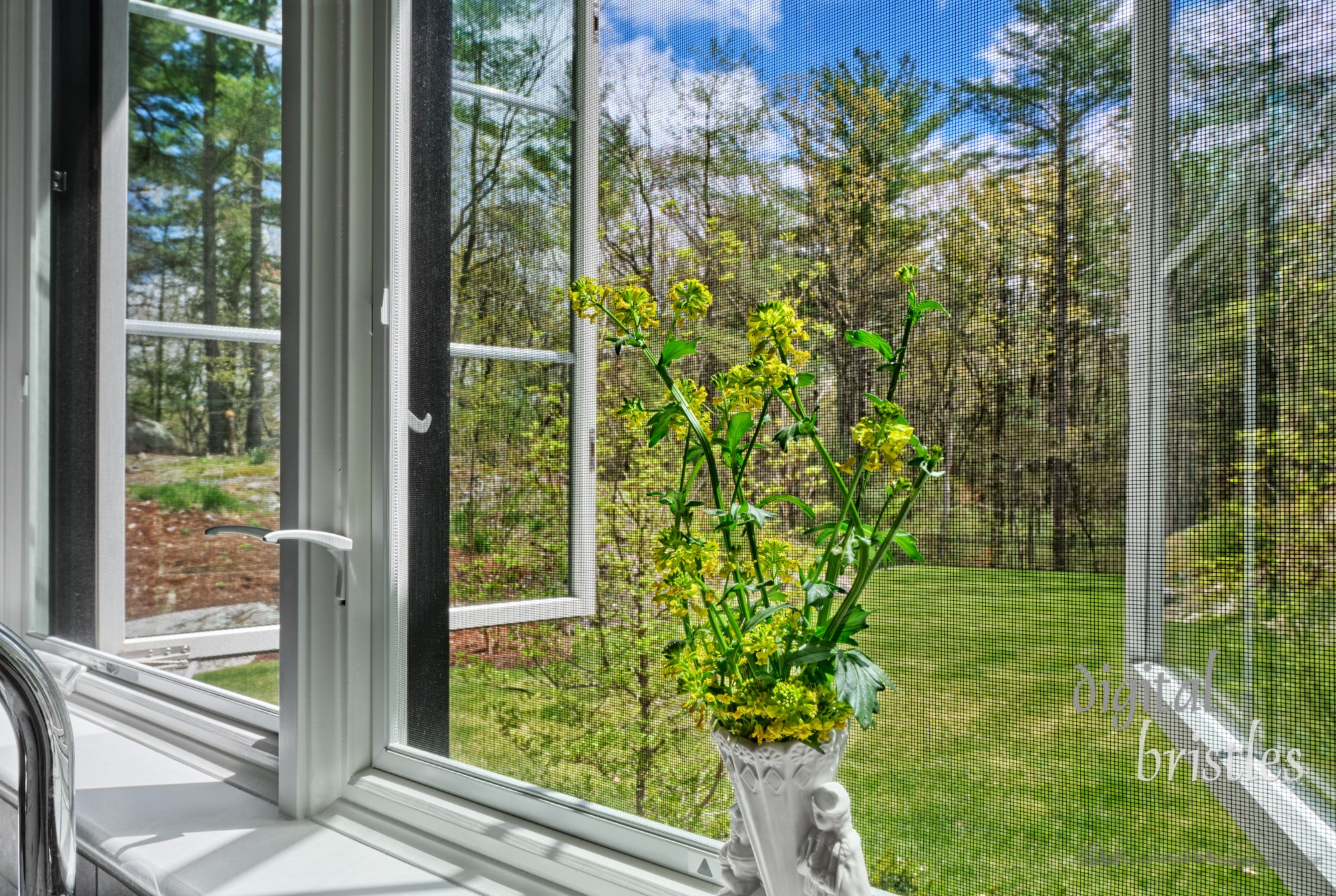 Kitchen windows open to a sunny Spring morning