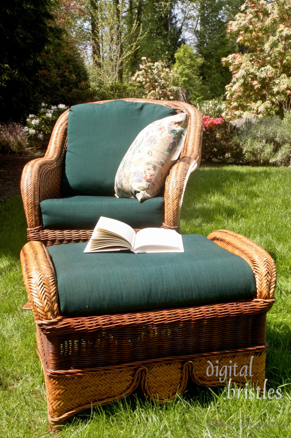 Chair and ottoman, book and sunshine