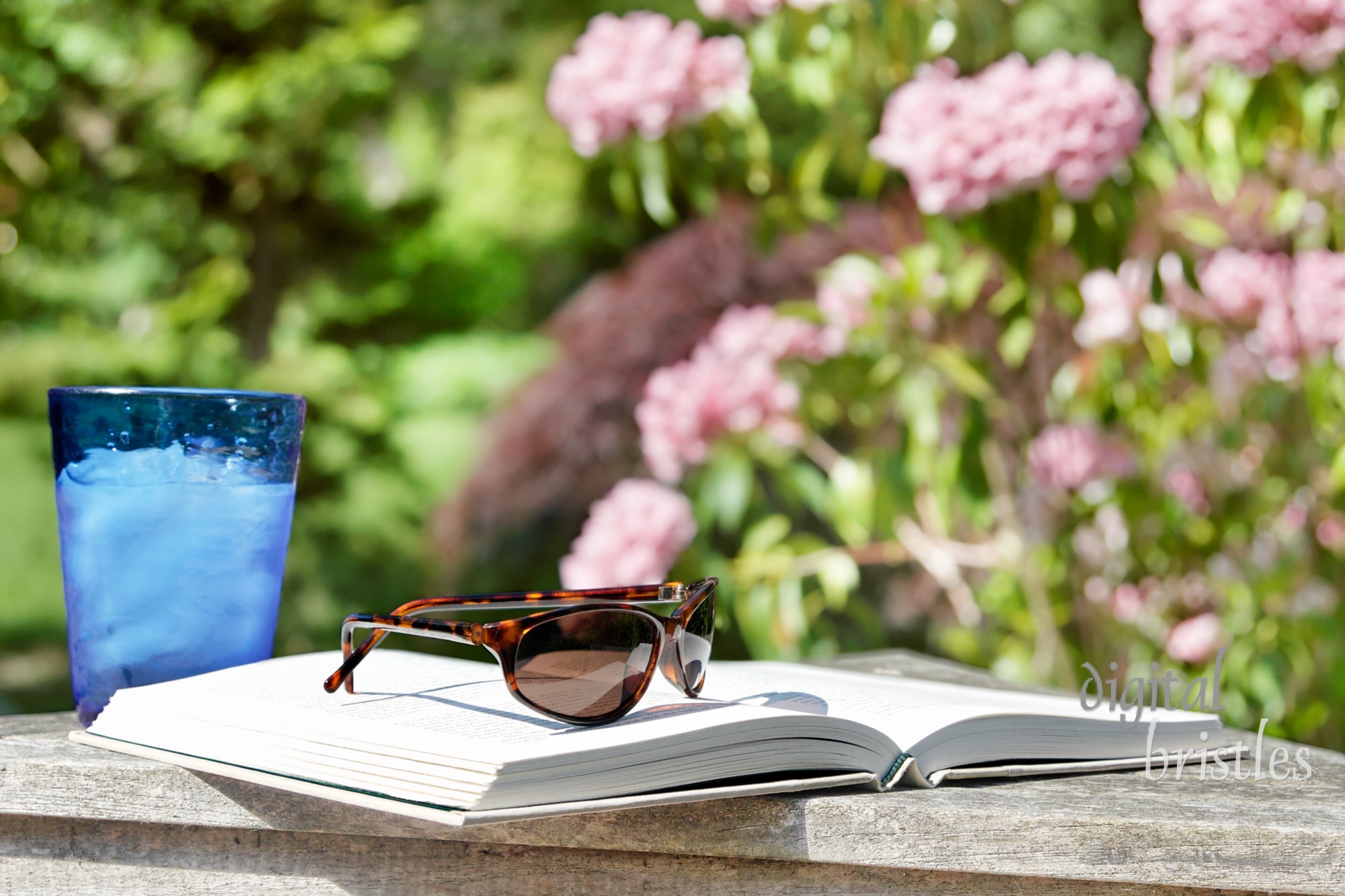 Just the day for reading a good book outside