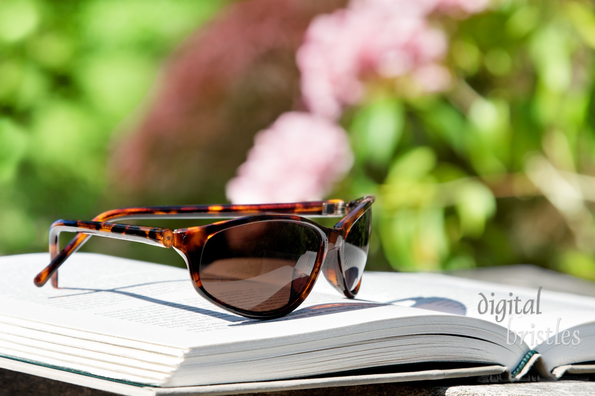 Sunglasses sitting on an open book in the summer sunshine