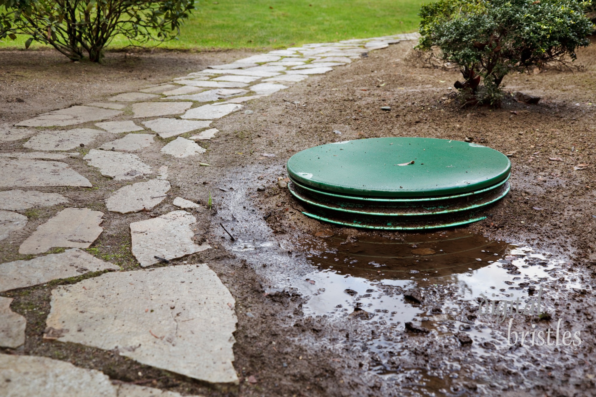 Leaks around the locking lids of a septic system's tanks